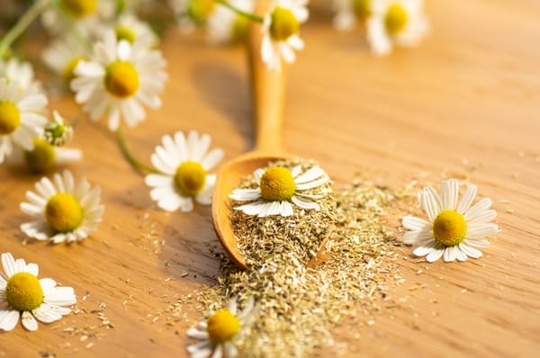 Herbs That Can Improve Your Life