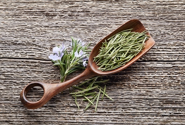 Herbs That Can Improve Your Life