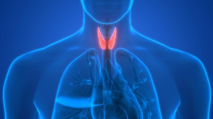How To Test For Thyroid Issues At Home