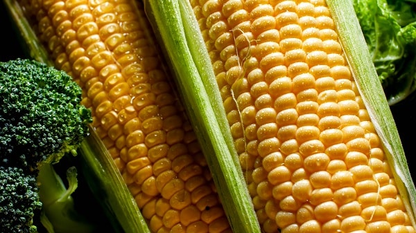 What You Need To Know About GMOs